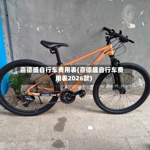 喜德盛自行车费用表(喜德盛自行车费用表2026款)-第2张图片