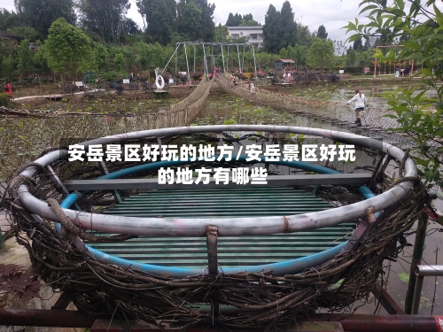 安岳景区好玩的地方/安岳景区好玩的地方有哪些-第3张图片