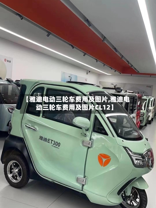 【雅迪电动三轮车费用及图片,雅迪电动三轮车费用及图片CL12】