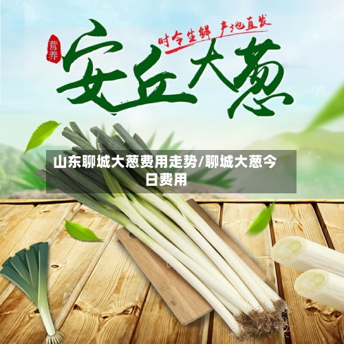 山东聊城大葱费用走势/聊城大葱今日费用