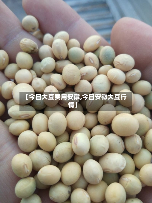 【今日大豆费用安徽,今日安徽大豆行情】