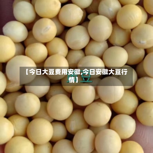 【今日大豆费用安徽,今日安徽大豆行情】-第3张图片