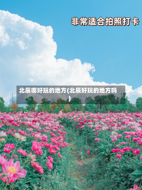 北辰哪好玩的地方(北辰好玩的地方吗)