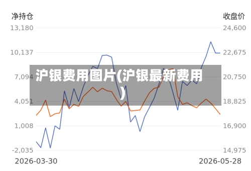 沪银费用图片(沪银最新费用)
