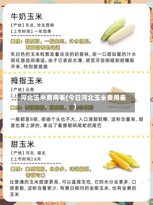 河北玉米费用表(今日河北玉米费用表)