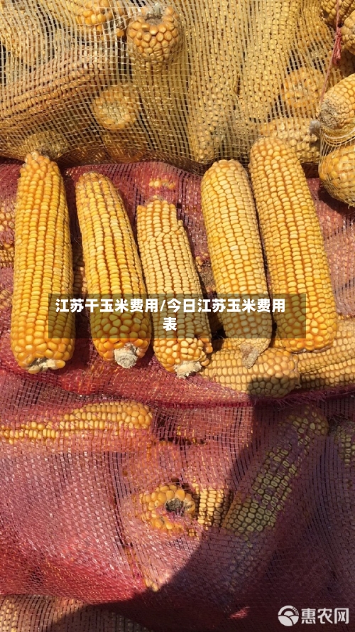 江苏干玉米费用/今日江苏玉米费用表-第3张图片