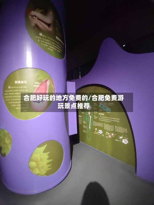 合肥好玩的地方免费的/合肥免费游玩景点推荐-第3张图片