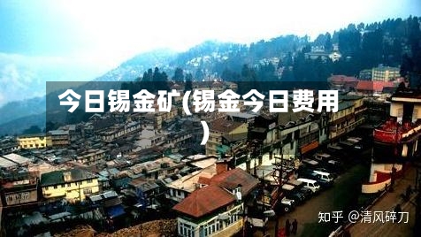 今日锡金矿(锡金今日费用)-第2张图片