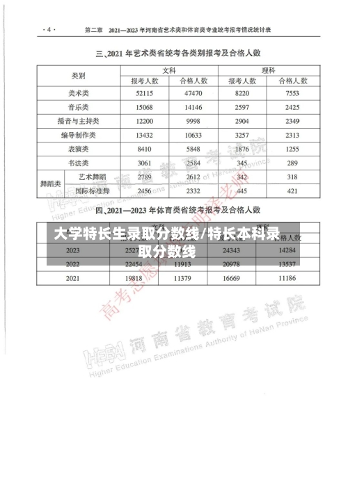 大学特长生录取分数线/特长本科录取分数线-第2张图片