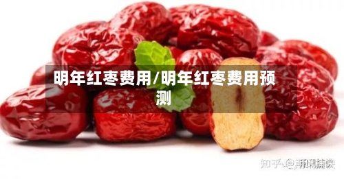 明年红枣费用/明年红枣费用预测-第2张图片