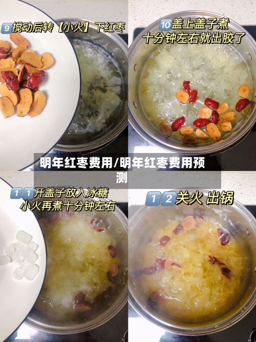 明年红枣费用/明年红枣费用预测