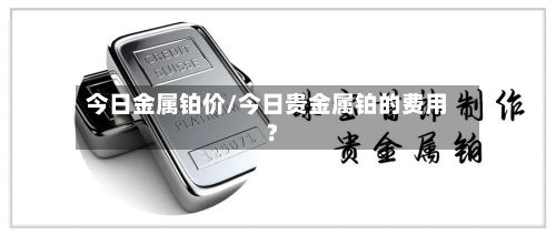 今日金属铂价/今日贵金属铂的费用?