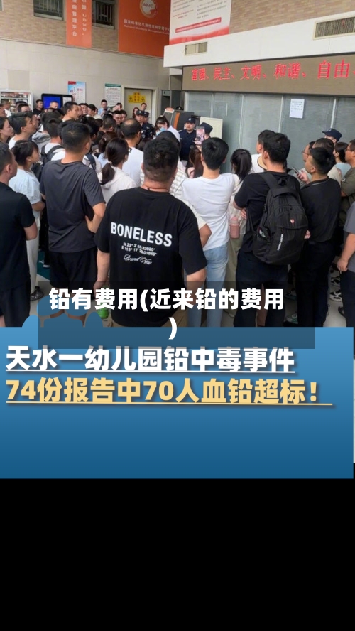 铅有费用(近来铅的费用)-第2张图片