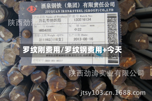 罗纹刚费用/罗纹钢费用+今天-第2张图片