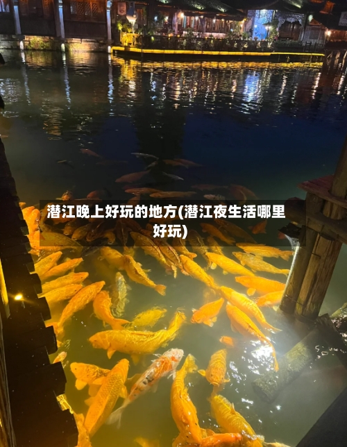 潜江晚上好玩的地方(潜江夜生活哪里好玩)-第3张图片