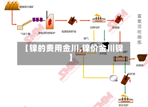 【镍的费用金川,镍价金川镍】-第3张图片