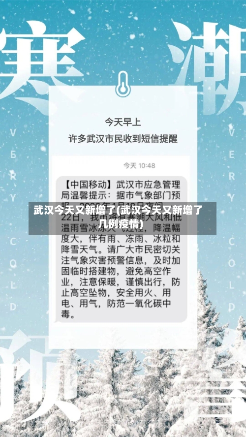 武汉今天又新增了(武汉今天又新增了几例疫情)