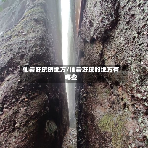 仙岩好玩的地方/仙岩好玩的地方有哪些
