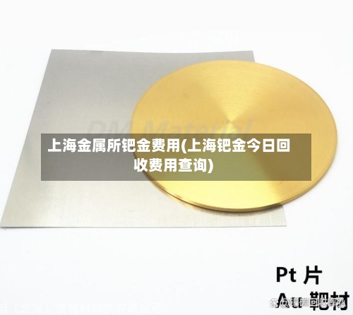 上海金属所钯金费用(上海钯金今日回收费用查询)-第3张图片