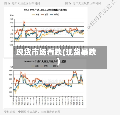 现货市场看跌(现货暴跌)