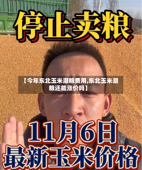 【今年东北玉米潮粮费用,东北玉米潮粮还能涨价吗】
