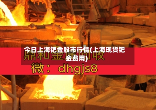 今日上海钯金股市行情(上海现货钯金费用)