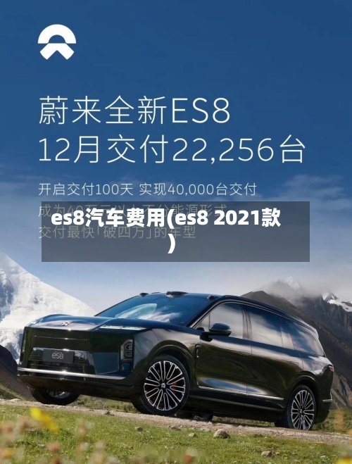 es8汽车费用(es8 2021款)-第2张图片