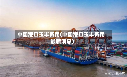 中国港口玉米费用(中国港口玉米费用最新消息)-第3张图片