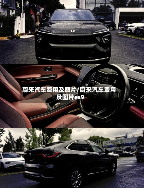 蔚来汽车费用及图片/蔚来汽车费用及图片es9