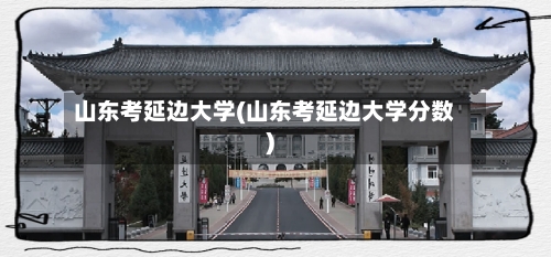 山东考延边大学(山东考延边大学分数)