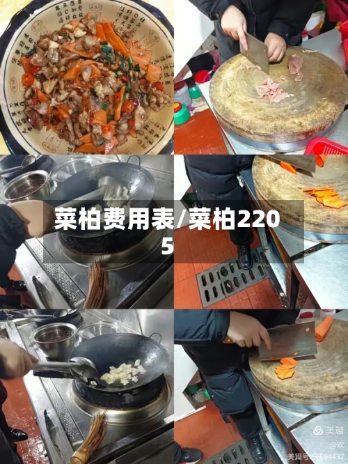 菜柏费用表/菜柏2205-第2张图片