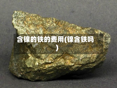 含镍的铁的费用(镍含铁吗)-第2张图片