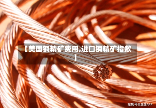【美国铜精矿费用,进口铜精矿指数】