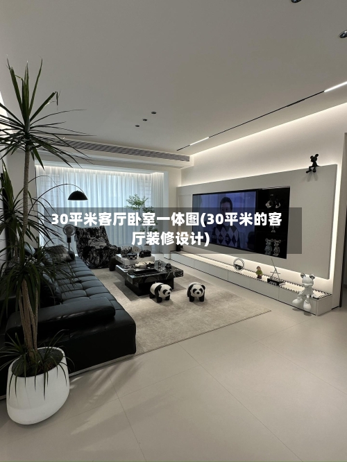 30平米客厅卧室一体图(30平米的客厅装修设计)