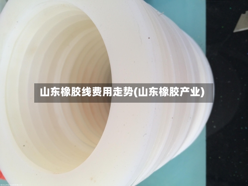 山东橡胶线费用走势(山东橡胶产业)