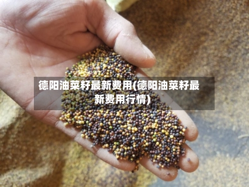 德阳油菜籽最新费用(德阳油菜籽最新费用行情)