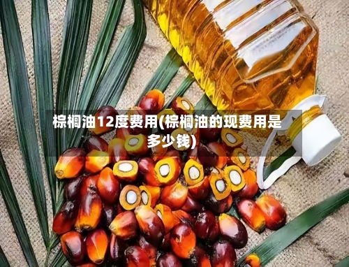 棕榈油12度费用(棕榈油的现费用是多少钱)