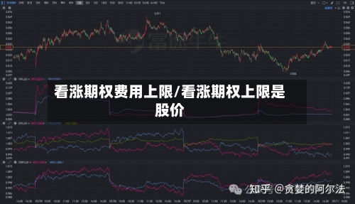 看涨期权费用上限/看涨期权上限是股价