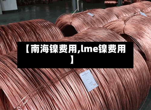【南海镍费用,lme镍费用】-第3张图片