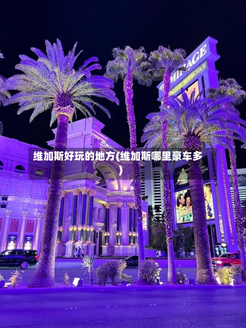 维加斯好玩的地方(维加斯哪里豪车多)