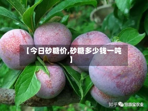 【今日砂糖价,砂糖多少钱一吨】