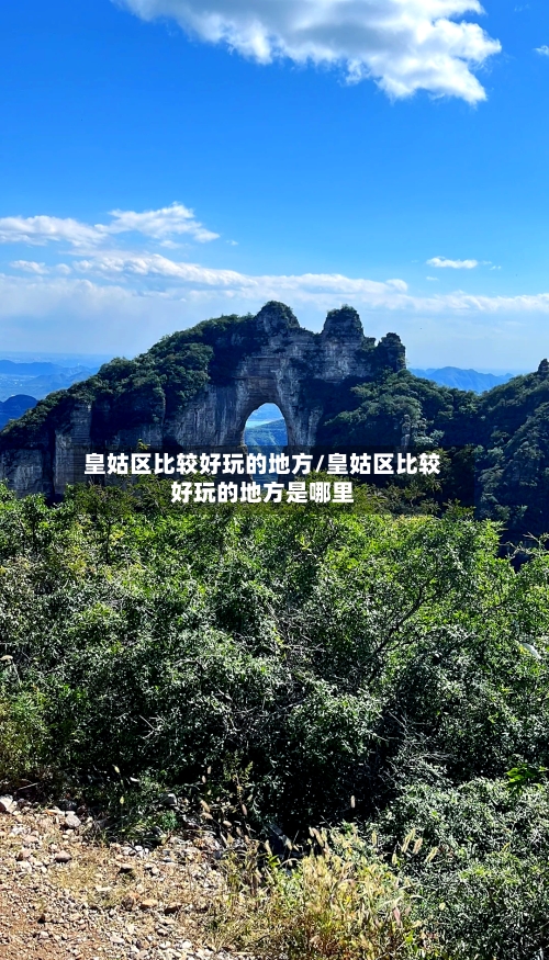 皇姑区比较好玩的地方/皇姑区比较好玩的地方是哪里-第3张图片