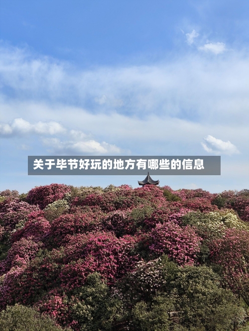 关于毕节好玩的地方有哪些的信息-第2张图片