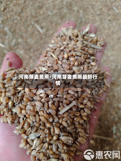 河南芽麦费用/河南芽麦费用最新行情-第3张图片