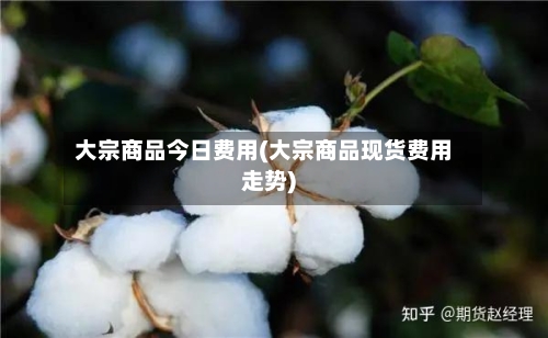 大宗商品今日费用(大宗商品现货费用走势)