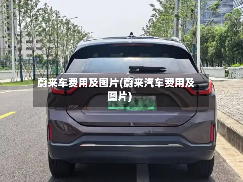 蔚来车费用及图片(蔚来汽车费用及图片)