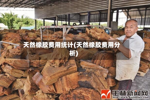 天然橡胶费用统计(天然橡胶费用分析)