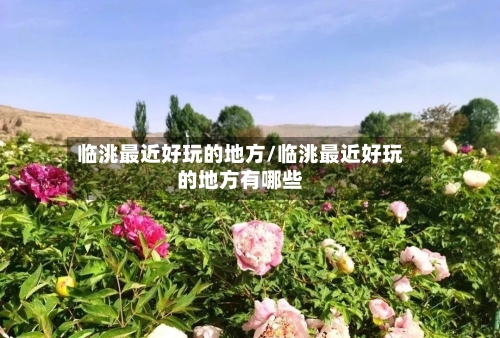 临洮最近好玩的地方/临洮最近好玩的地方有哪些