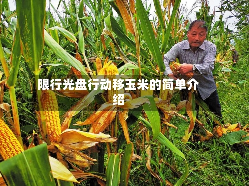 限行光盘行动移玉米的简单介绍-第2张图片