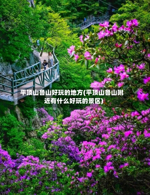 平顶山鲁山好玩的地方(平顶山鲁山附近有什么好玩的景区)